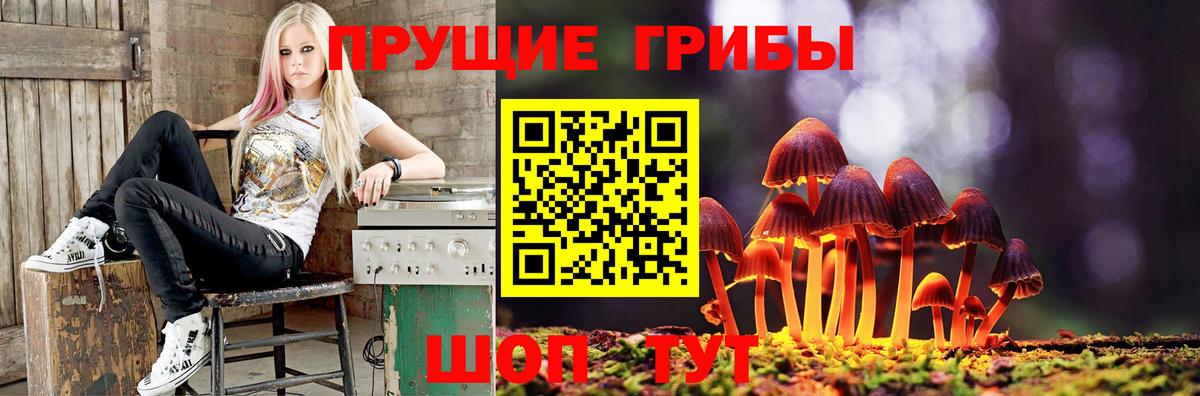 Ленинск-Кузнецкий  Псилоцибиновые грибы Cubensis  Вход с VPN 