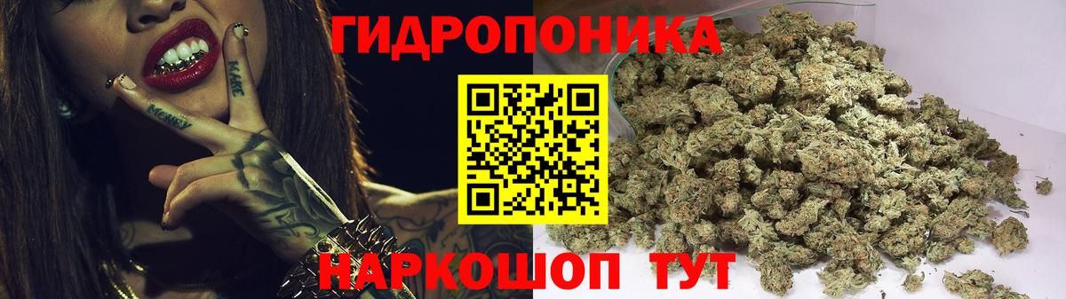 Конопля AK-47  МАРИХУАНА план  Вход с VPN  Бошки Шишки планчик  Ленинск-Кузнецкий 
